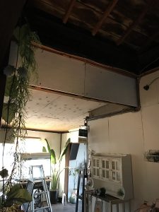 20170403_084424685_iOS