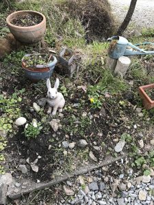 20170403_084855542_iOS